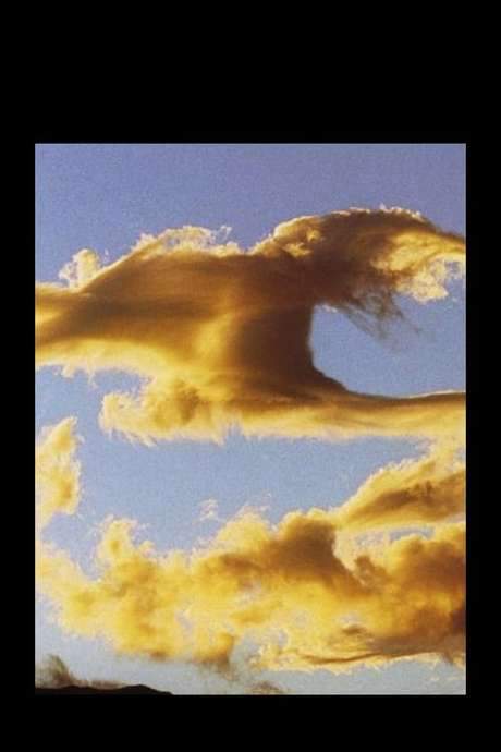 Clouds: Letters to My Son